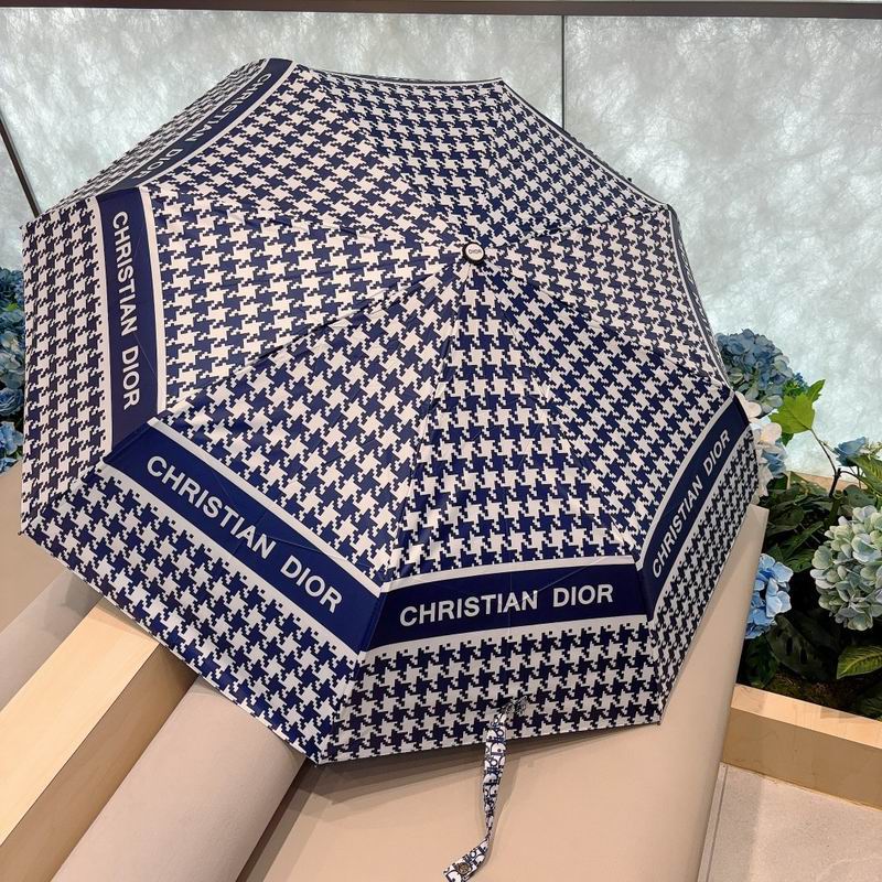 Dior Umbrella (27)